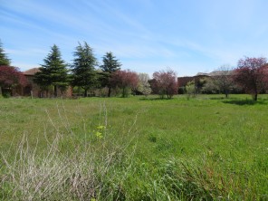 Jardín